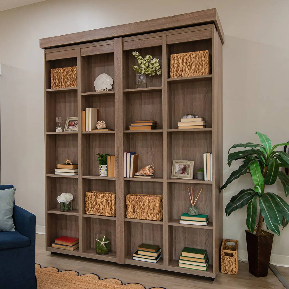 Boaz BiFold Bookcase Murphy Bed - Image 3